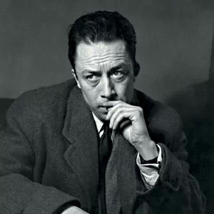 Navigateurs3's profile picture. Curieux