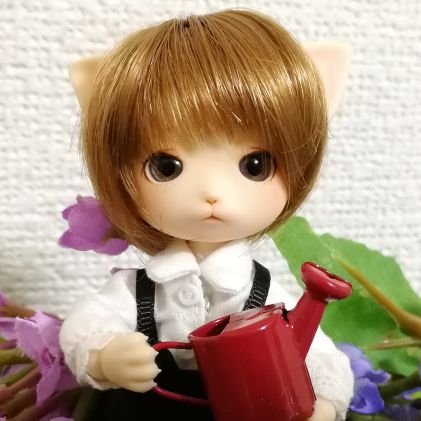 ドール関連展示即売会を中心としたイベントの公式アカウントです。楽しいをぎゅぎゅっと詰め込んだイベントを目指して企画運営しております🌼2020年9月27日ドールカフェガーデン無事終了しました!沢山のご来場ありがとうございました。
ハッシュタグは #ミニドールガーデン #ドールガーデン #ドールカフェガーデン