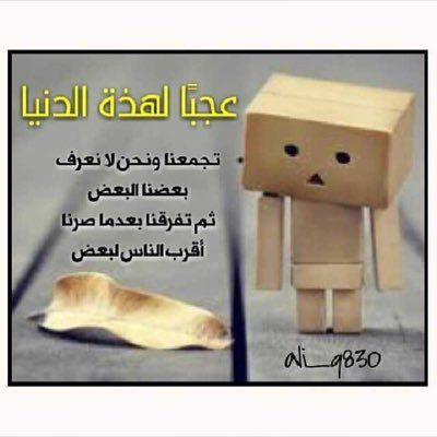 aliklefy's profile picture. 