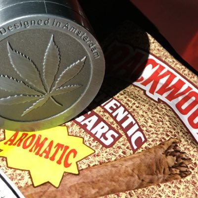 T79229713's profile picture. 