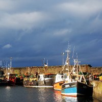 Harbours Medical Practice (@harboursp) 's Twitter Profile