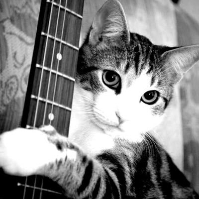 Bio-logico, amo il Sole e la vita. Felino, Chitarra, Sagittario, Giove 🔥 Libero e Senziente NoGreenPass e Pace tra i popoli.