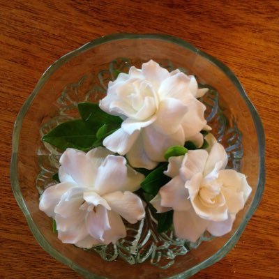 CobkcKate's profile picture. Books Music Sports Steelers MAGA KAG happily married, proud nana of 2 precious grandsons No DMs