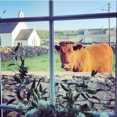 Margaret Mc Auliffe Profile