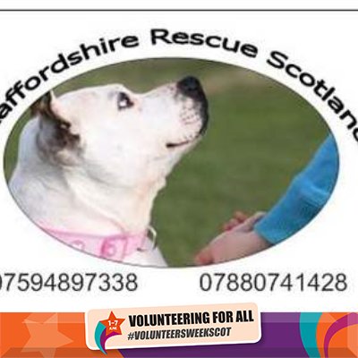 We are a registered Scottish charity dedicated to education, training, neutering and rehoming Staffordshire Bull Terriers