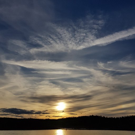 forevrOutdoors's profile picture. 