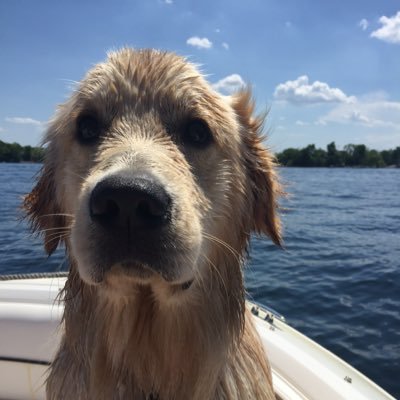 ThaDizz09's profile picture. Show me a man who is deeply worried about tomorrow, and I will show you a man who may have failed to be thankful for the blessings of today.