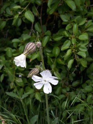 KimT1302's profile picture. 