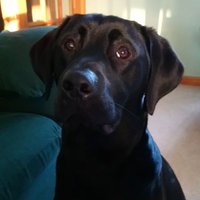Donna (@ciaransmum) 's Twitter Profile