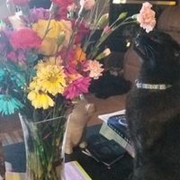 Just Saying (@darhtan) 's Twitter Profile