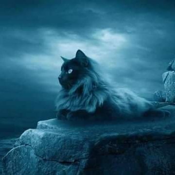 gwcs3hLobdxjF86's profile picture. 