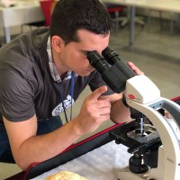 David Peris 🔬🍄🍺🍷♻️ (@dperisn) 's Twitter Profile