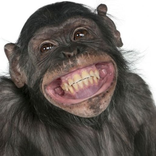 cryptozj0hn's profile picture. 
