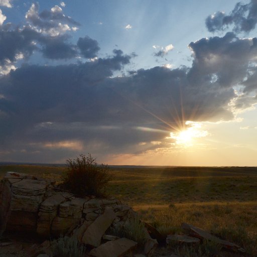 I like Astrophotography, Meteorology, Spaceflight, Storm Chasing, etc. I love taking pictures of the sky!