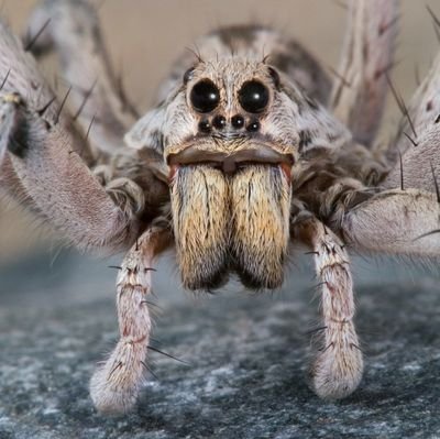 alonejc's profile picture. De Madrid, exiliado del sistema desde el 2009 en Andalucia, beligerante ante la injusticia.