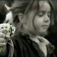 Kadir KINAY (@mormantoo) Twitter profile photo