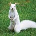 Al Bynoe 🐿️ (@albynoesquirrel) Twitter profile photo Al Bynoe 🐿️ (@albynoesquirrel) Twitter profile photo