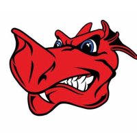 Kingsway Dragons Baseball ⚾️(@KDragonBaseball) 's Twitter Profileg