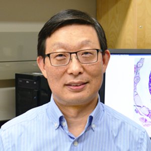 Professor of Physiology & Pharmacology, Ivey Chair in Molecular Toxicology, Western University. Interested in heart development, cardiac repair & sepsis.