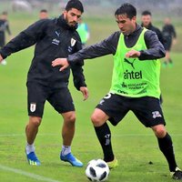 Michael Mendoza (@mmendo10) 's Twitter Profile