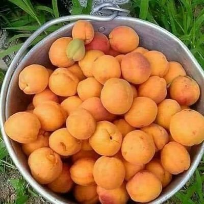 sajjadpandrass's profile picture. i am Man with Golden Heart