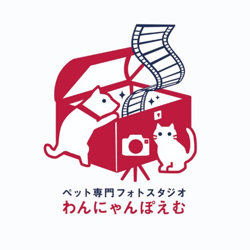 pet_photostudio's profile picture. 淡路島のペット専門フォトスタジオ。おススメは神社でのペット専用ご祈祷プラン！
☎070-7477-6492（予約直通）
ペット衣装の全国宅配ネットレンタルもやってます！固定ツイートからどうぞ😊
↓Instagram
https://t.co/hz2pBYZ56S