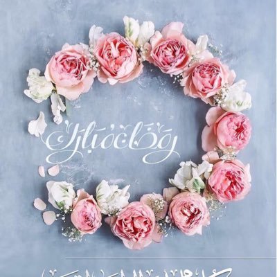 Amany99485247's profile picture. 