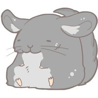 チンチラ@プレゼント企画 (@tiramohu992) 's Twitter Profile