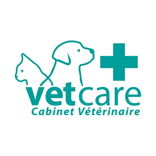 Veterinarian Dr. Olivia Shoenfeld & Team Cabinet Vétérinaire à Luxembourg #dogs #cats #chiens #chats #Hund #Katze ☎️ 352 28 790 790 🇺🇸🇱🇺🇫🇷 🇧🇪🇩🇪🇵🇹