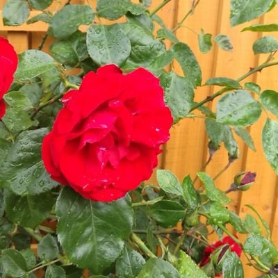 RaviSundaram97's profile picture. 