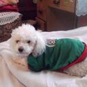 Mia Rosales - @miamosisimo - Twitter