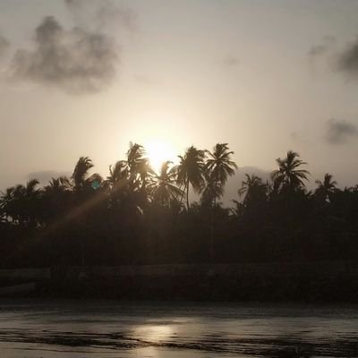 rutuljain's profile picture. 