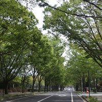 東北大学工学部@入試広報・次世代連携 (@tohokuu_engsc) 's Twitter Profile Photo 東北大学工学部@入試広報・次世代連携 (@tohokuu_engsc) 's Twitter Profile Photo