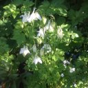 Sue Nicholson - @newsheep2 - Twitter