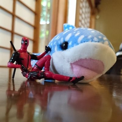 ズッチョさんのプロフィール画像