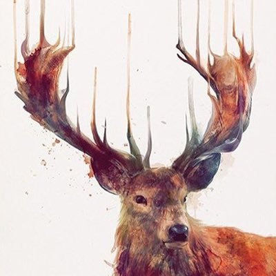 lastanzab's profile picture. Quando ero giovane scrivevo su Finzioni e Rivista Undici.