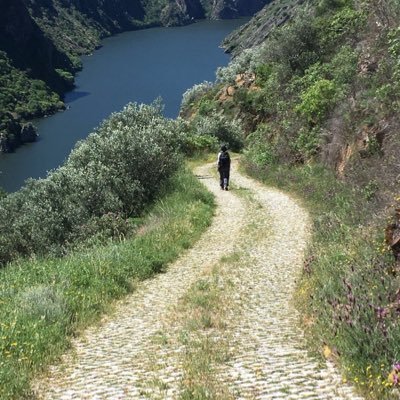 FrancesroweRowe's profile picture. 