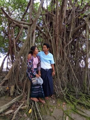 AungBob21927574's profile picture. 