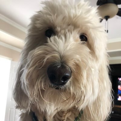 drchristian71's profile picture. 