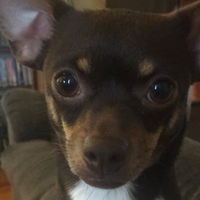 BurninEmpAsylum's profile picture. @GraysonDolan @EthanDolan 👈1/2 I ❤️ #DeanAmbrose @WWERollins #GrandSlamRollins @WWERomanReigns #TheShield #BeastSlayer #shieldforever