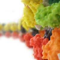 Maier Lab (@maierlab) 's Twitter Profile