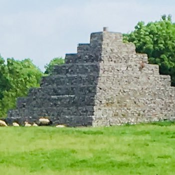 thenealens1's profile picture. Welcome to the The Neale N.S. twitter account.