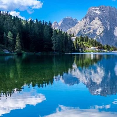 FadeaNeme's profile picture. 