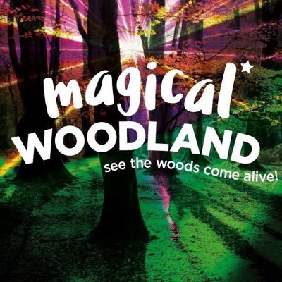 A magical outdoor experience with dazzling lighting and supreme sound in the depths of a Cheshire woodland this Autumn. Book your tickets today.