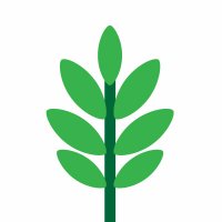Forestry Insights (@forestryinsight) 's Twitter Profile