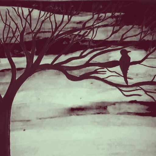 _abmalik's profile picture. 