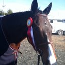 Carol Devine - @cdevine18914 - Twitter