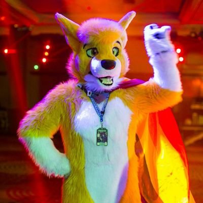 He/Him. Yellowest Boy. Slava Ukraini! 🇺🇦 Fursuiter. History. Royalist. Doctor Who. Eurovision. Battlebots. My fox ❤️ @LittleTyro97 ❤️ 🏴