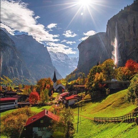 Saleh__818's profile picture. 