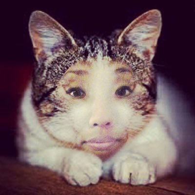 show me your cat Profile